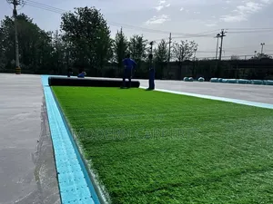 Meembx Playing Artificial Turf