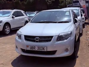 Toyota Corolla Fielder 2010 White