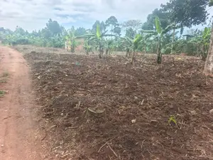 Land for Sale – Namugongo Budugala (Mpoma Estates Road)