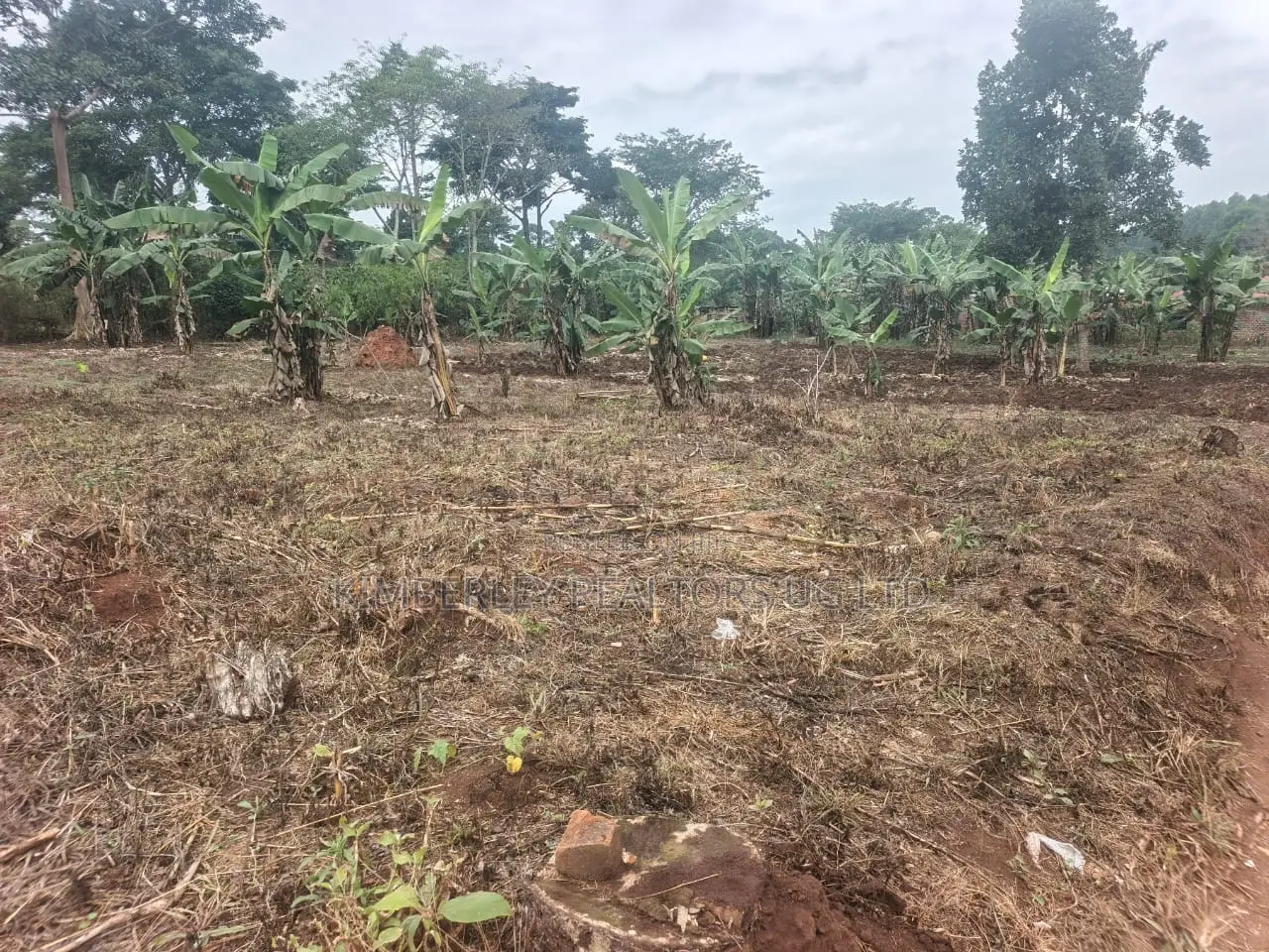 Land for Sale – Namugongo Budugala (Mpoma Estates Road)