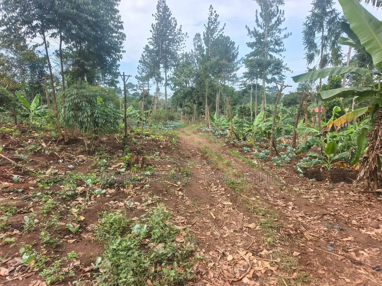 Land for Sale – Namugongo Budugala (Mpoma Estates Road)