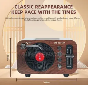 FM Radio With Bluetooth Speaker, TF Card, USB, AUX, Rechargeable