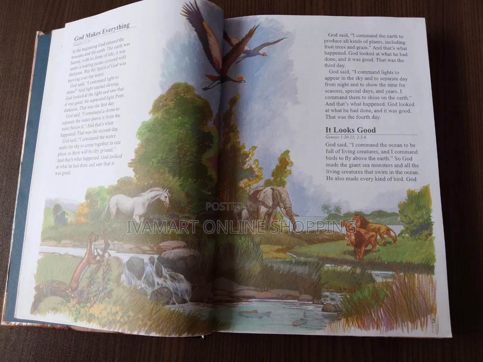 The Children Bible CEV - Real Bible Text