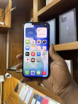 Apple iPhone 13 Pro Max 512 GB Rose Gold
