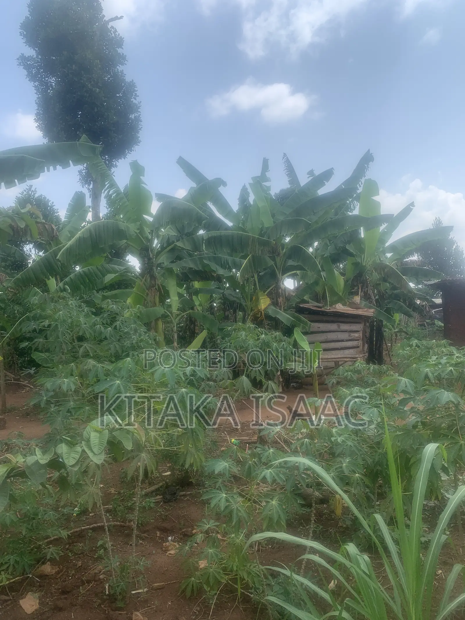 One and Half Acres for Sale