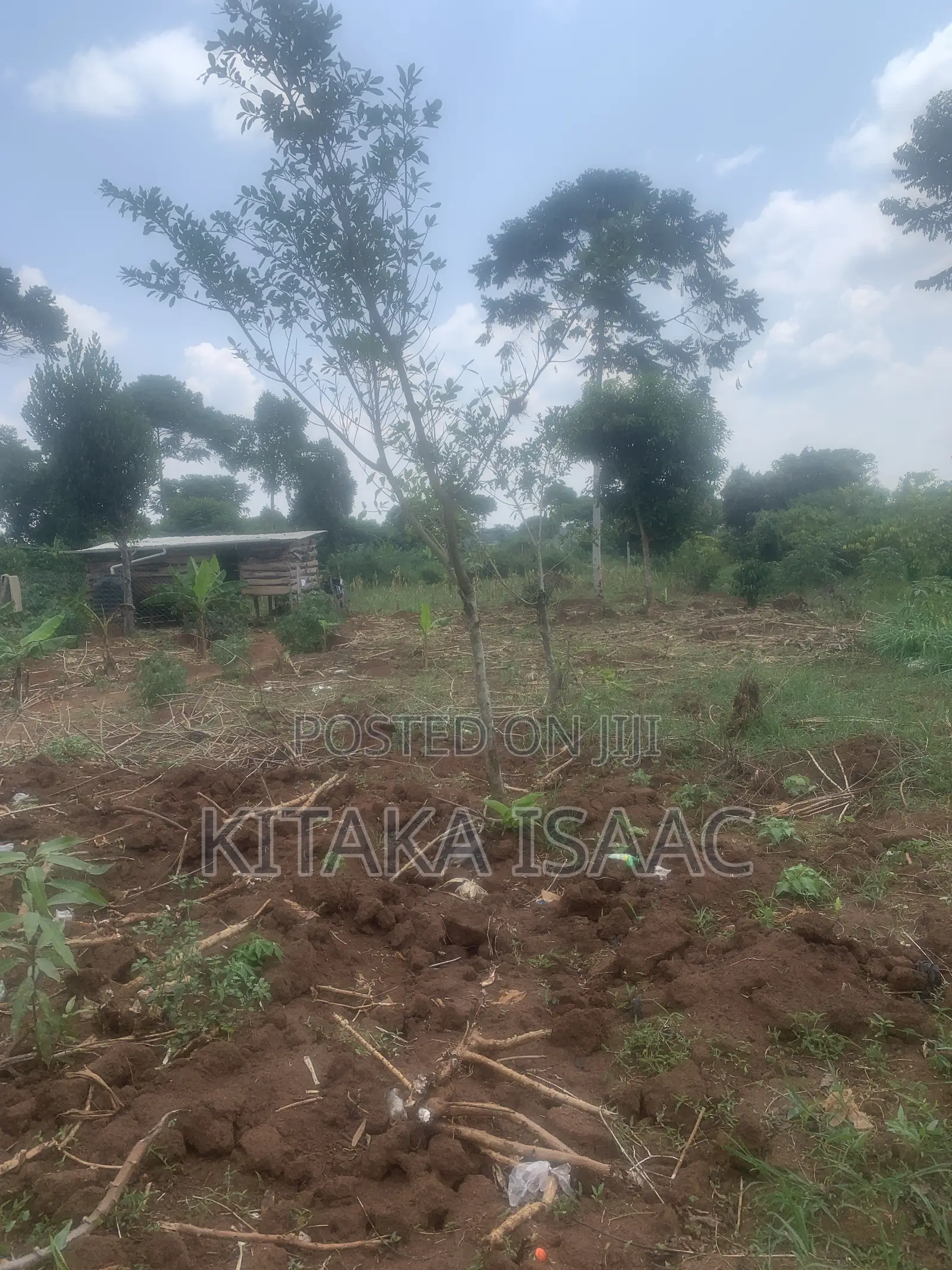One and Half Acres for Sale