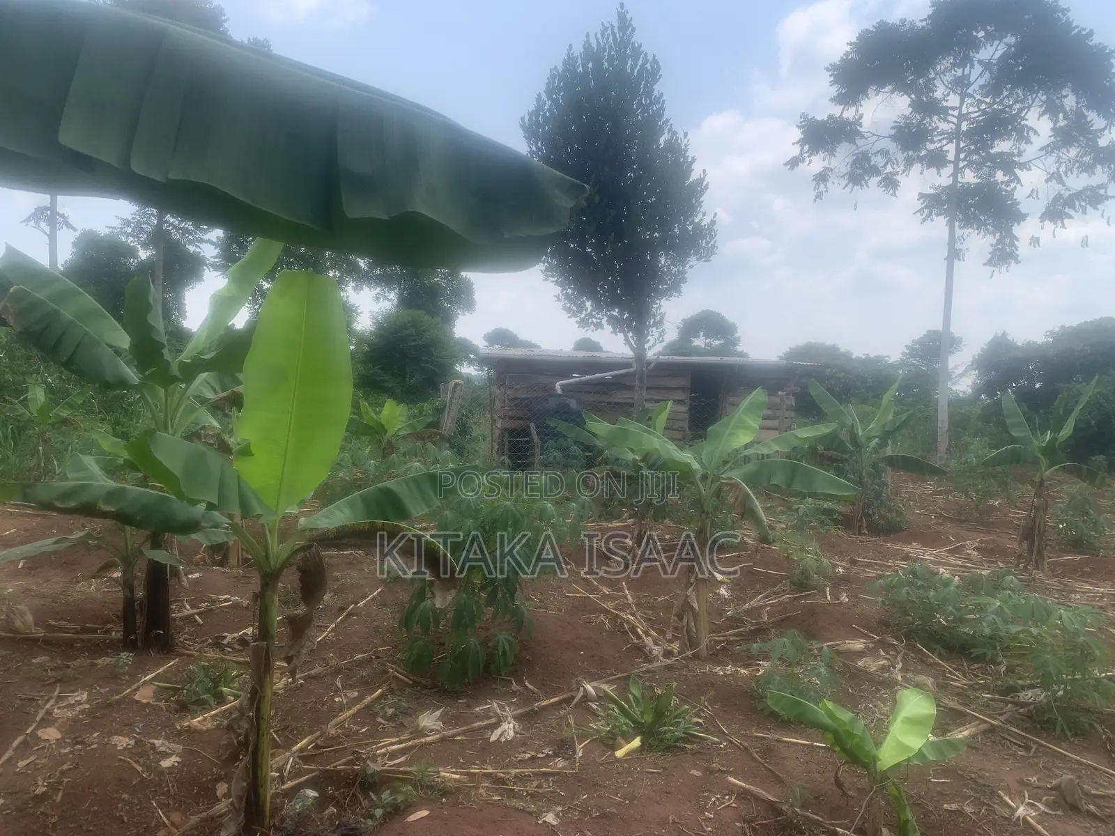 One and Half Acres for Sale