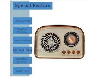 FM Radio With Bluetooth Speaker, TF Card, USB, AUX, Rechargeable