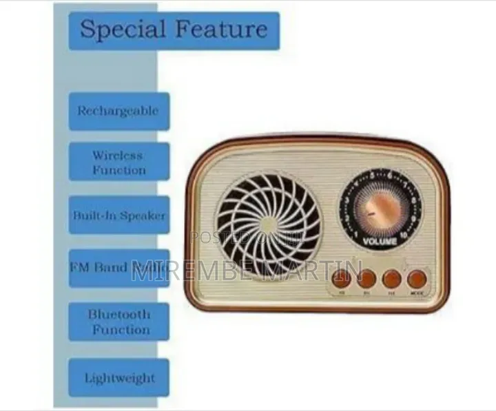 FM Radio With Bluetooth Speaker, TF Card, USB, AUX, Rechargeable