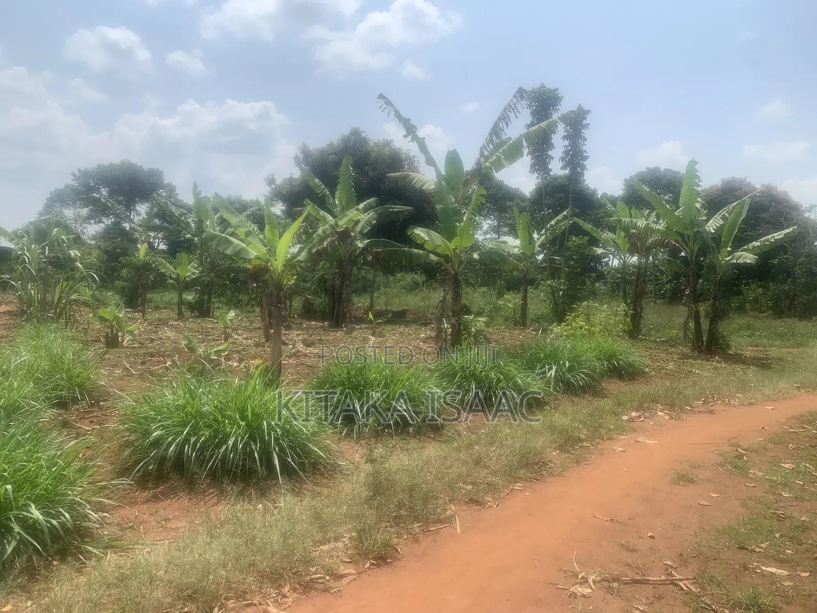 One and Half Acres for Sale