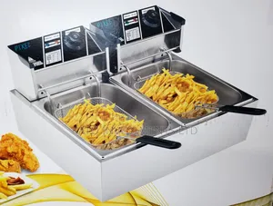 Electric 12litrs Double Deep Fryer - Electricity Saving