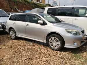 Toyota Corolla Fielder 2010 Silver