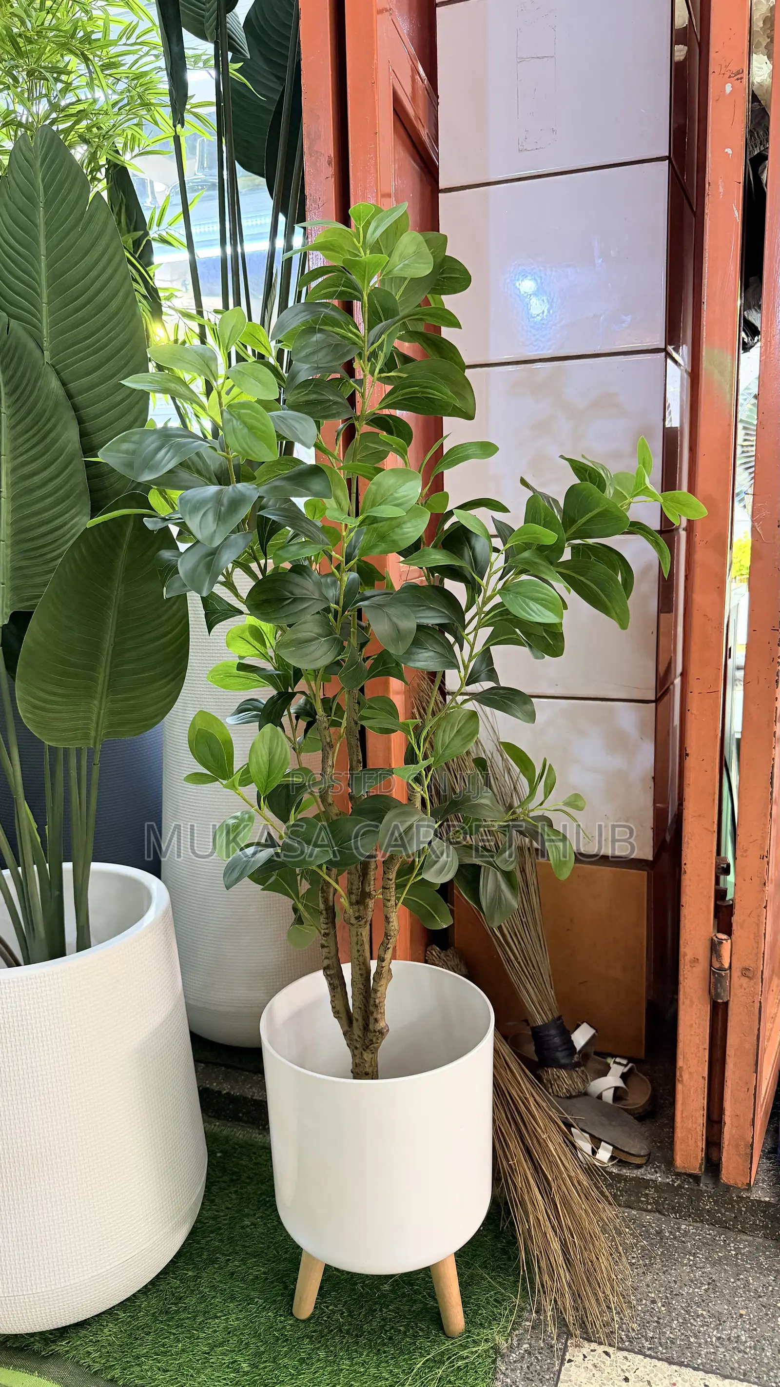 Premium Artificial Dwarf Umbrella Tree– Luxury Indoor Decorative Plant