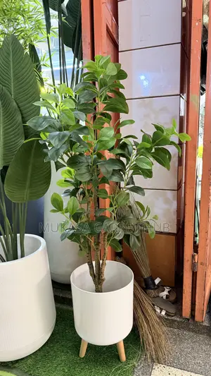 Premium Artificial Dwarf Umbrella Tree– Luxury Indoor Decorative Plant