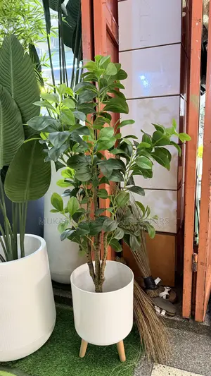 Premium Artificial Dwarf Umbrella Tree– Luxury Indoor Decorative Plant