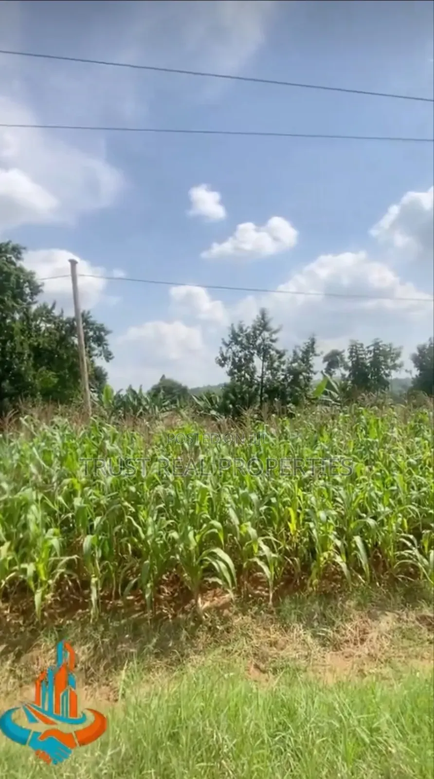 Land for Sale in Busikili Semuto Rd