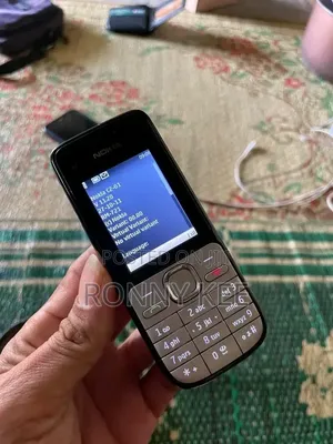 New Nokia C2-01 Gold