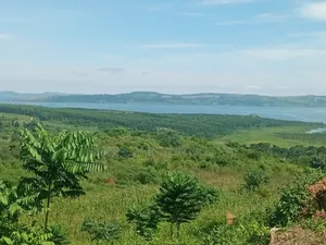 Lakeshore Land/Beach for Sale – Lake Victoria Bugiri, Entebbe Road