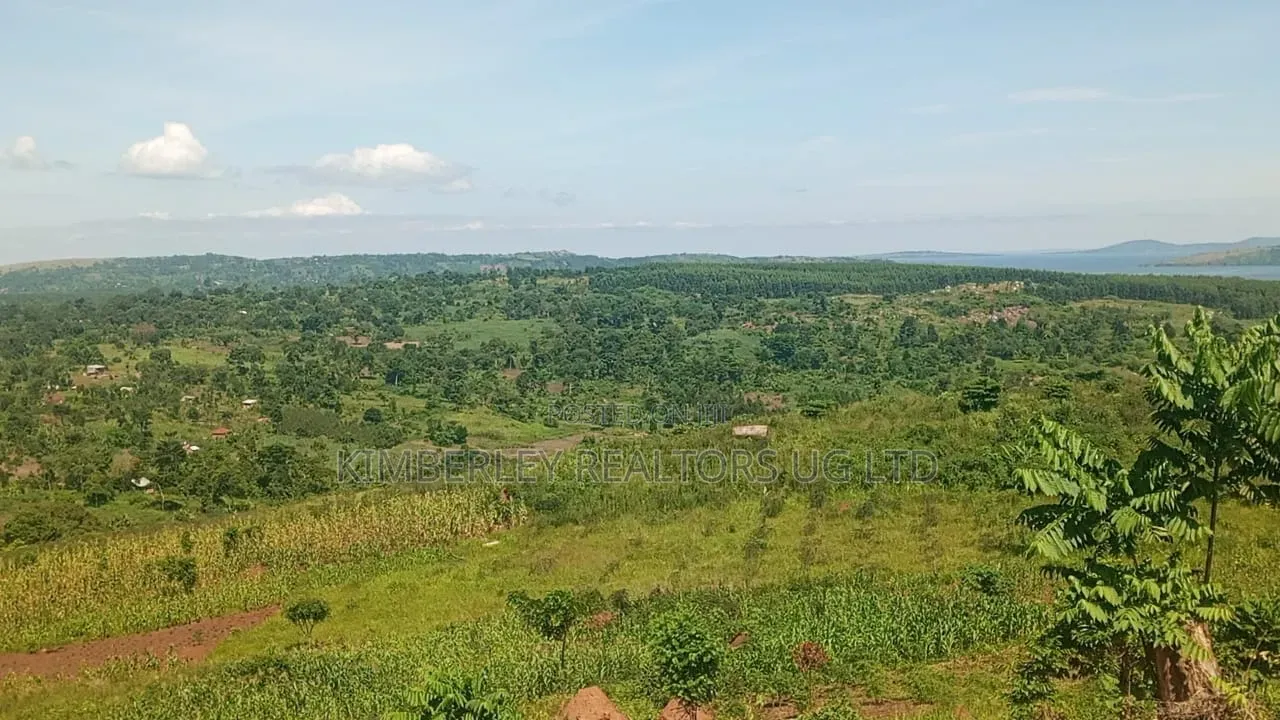 Lakeshore Land/Beach for Sale – Lake Victoria Bugiri, Entebbe Road