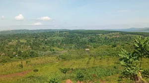 Lakeshore Land/Beach for Sale – Lake Victoria Bugiri, Entebbe Road