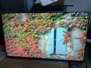 65Inches Smart Chiq