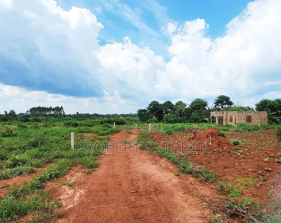 50x100ft Plots for Sale in Zirobwe