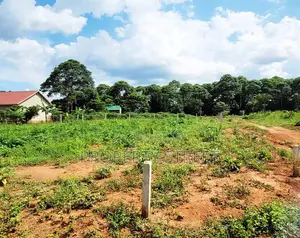 50x100ft Plots for Sale in Zirobwe
