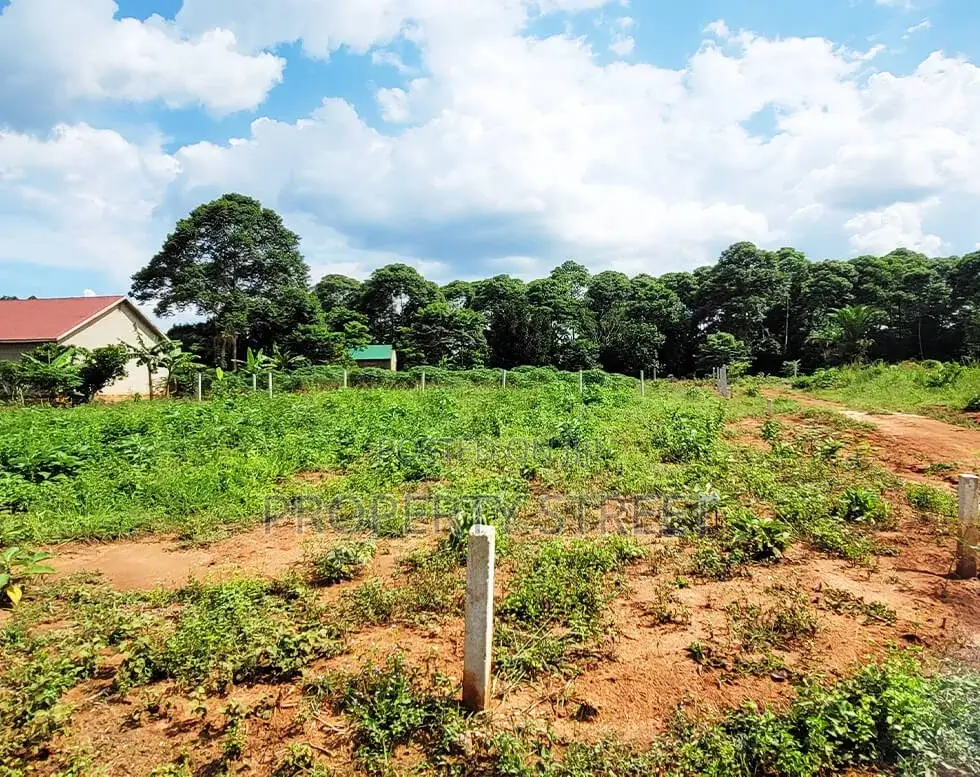 50x100ft Plots for Sale in Zirobwe