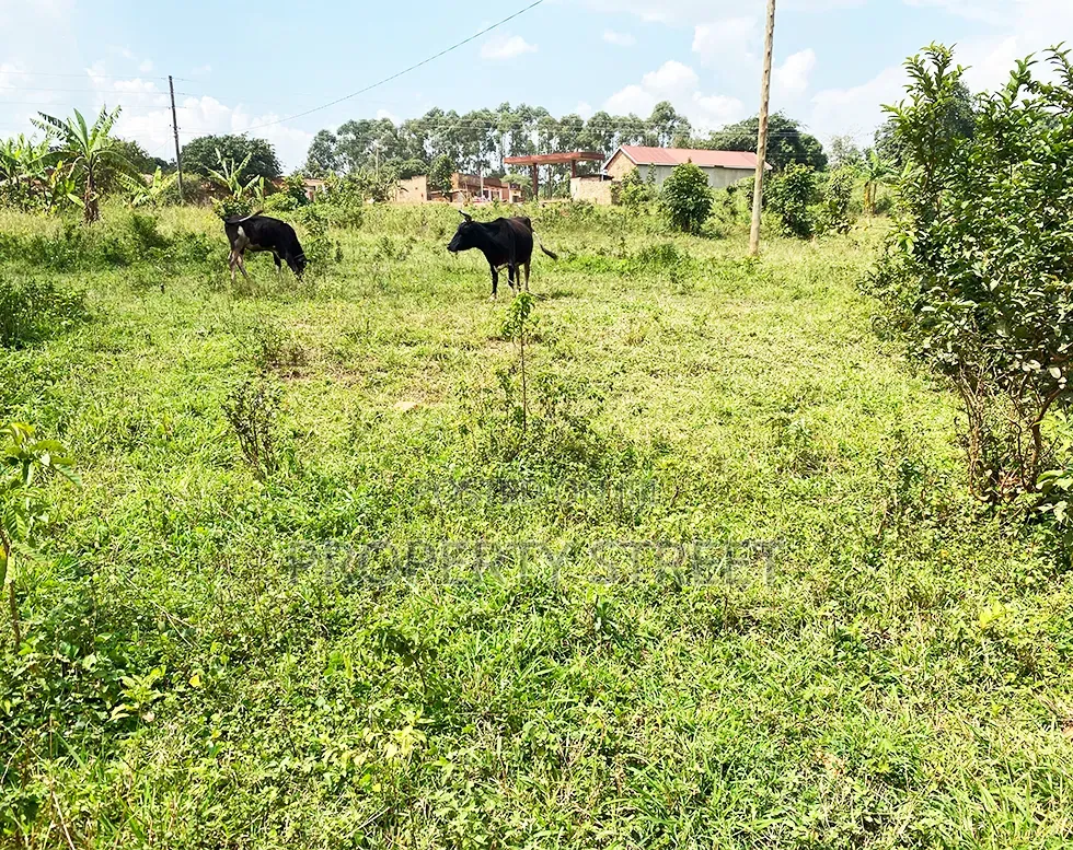 Plot for Sale in Bugema, Gayaza Road