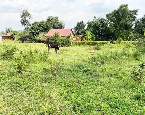 Plot for Sale in Bugema, Gayaza Road