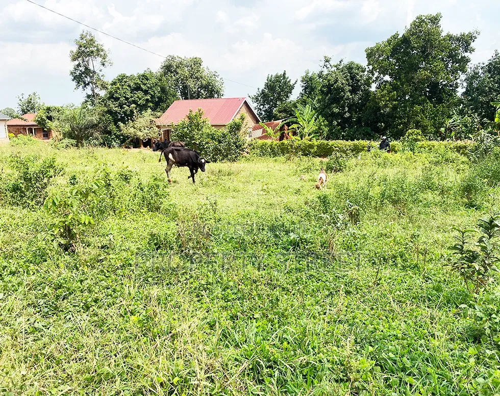 Plot for Sale in Bugema, Gayaza Road
