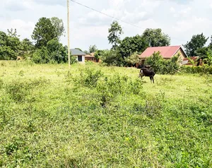 Plot for Sale in Bugema, Gayaza Road