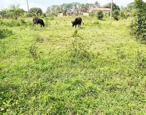 Plot for Sale in Bugema, Gayaza Road