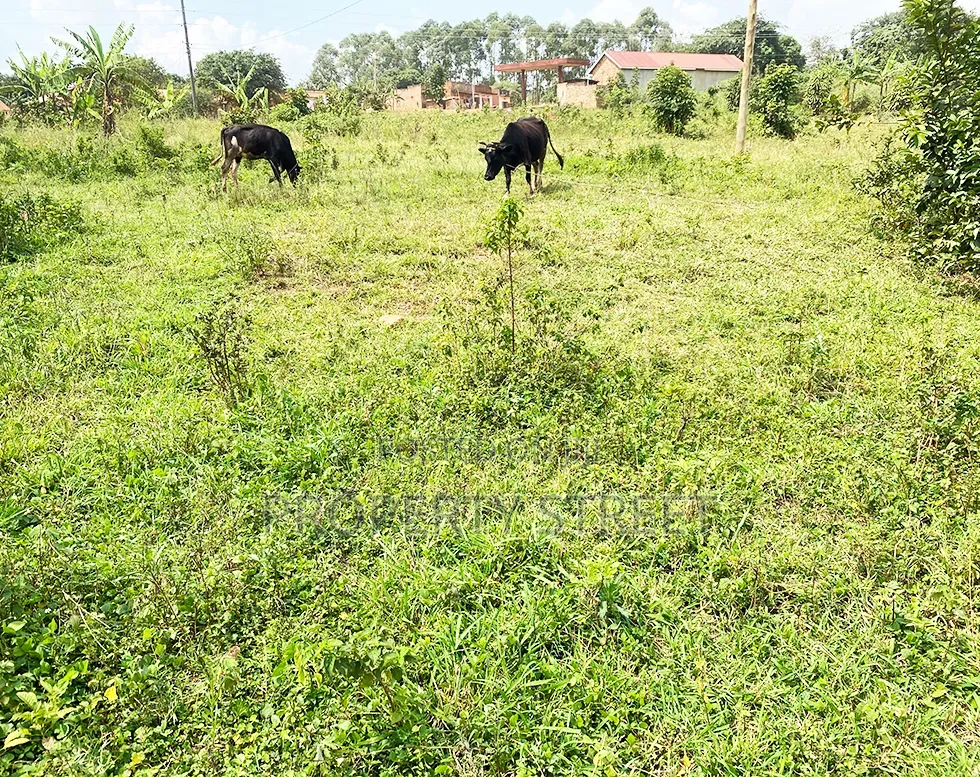 Plot for Sale in Bugema, Gayaza Road