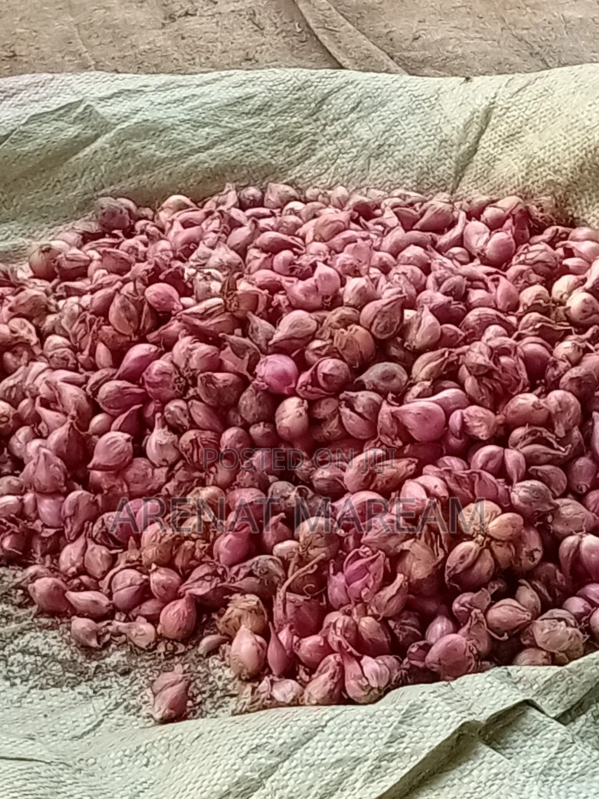 Onions on Sales Big and Small