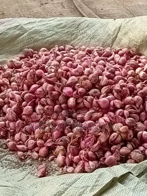 Onions on Sales Big and Small