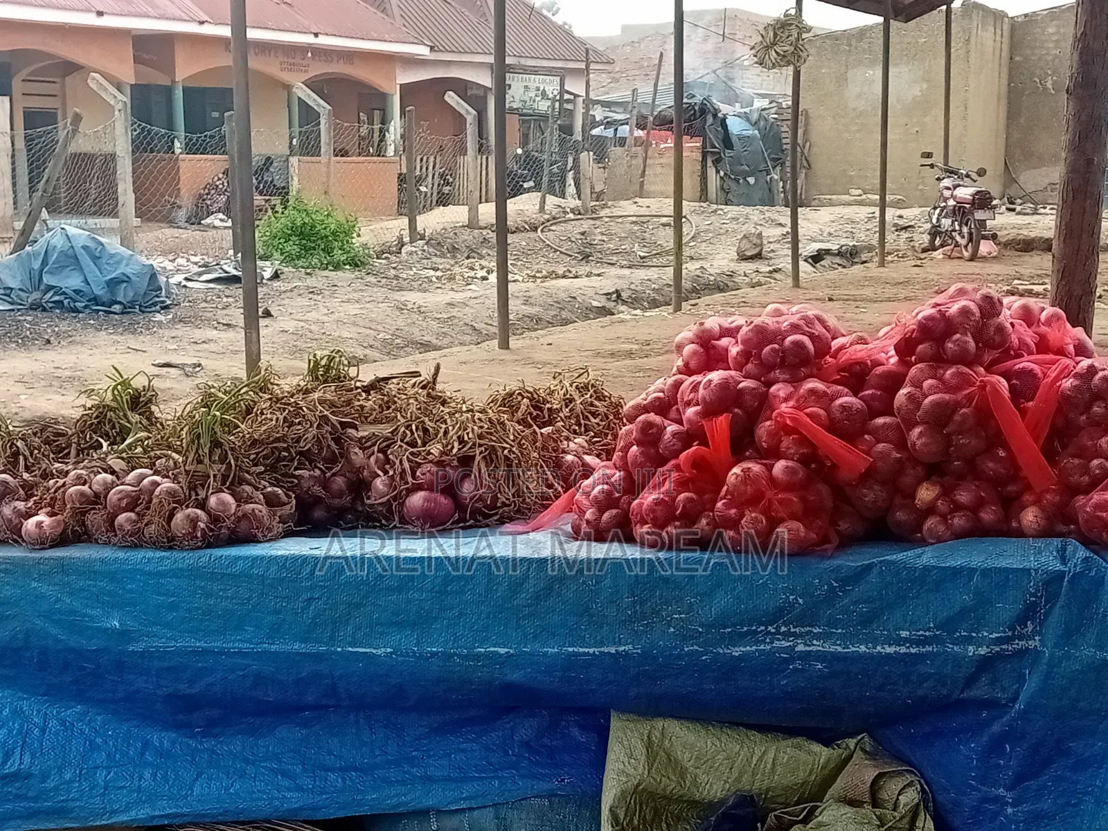 Onions on Sales Big and Small