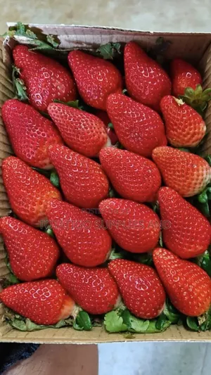 Fresh Strawberries-1 Pack-250g