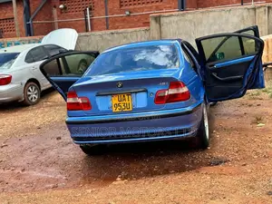 BMW 318i 2002 Blue
