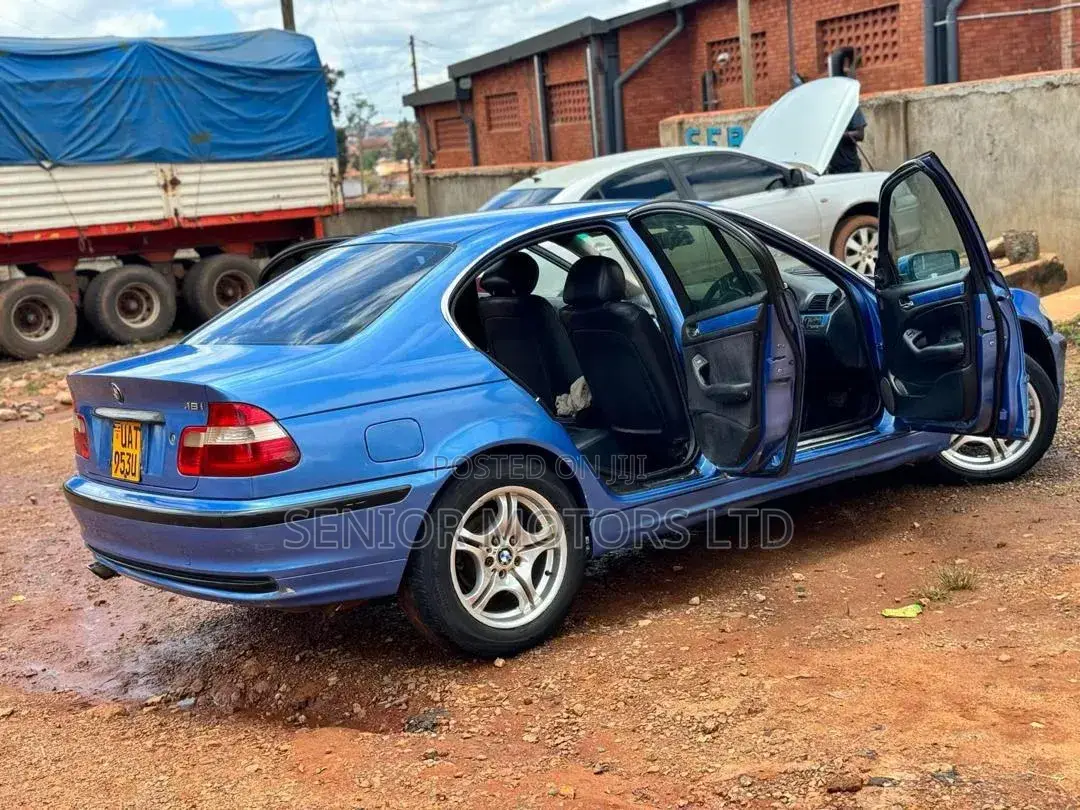 BMW 318i 2002 Blue