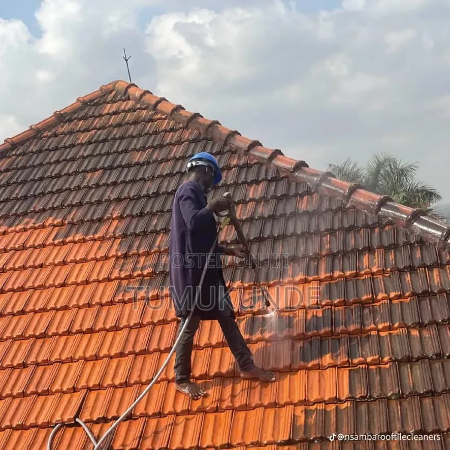 Roof Cleaning Services