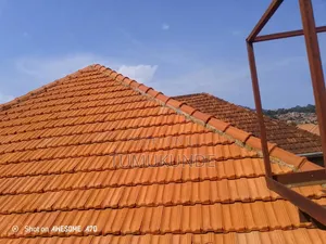 Roof Cleaning Services