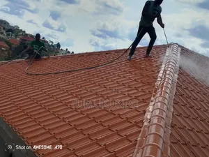 Roof Cleaning Services