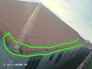 Roof Cleaning Services
