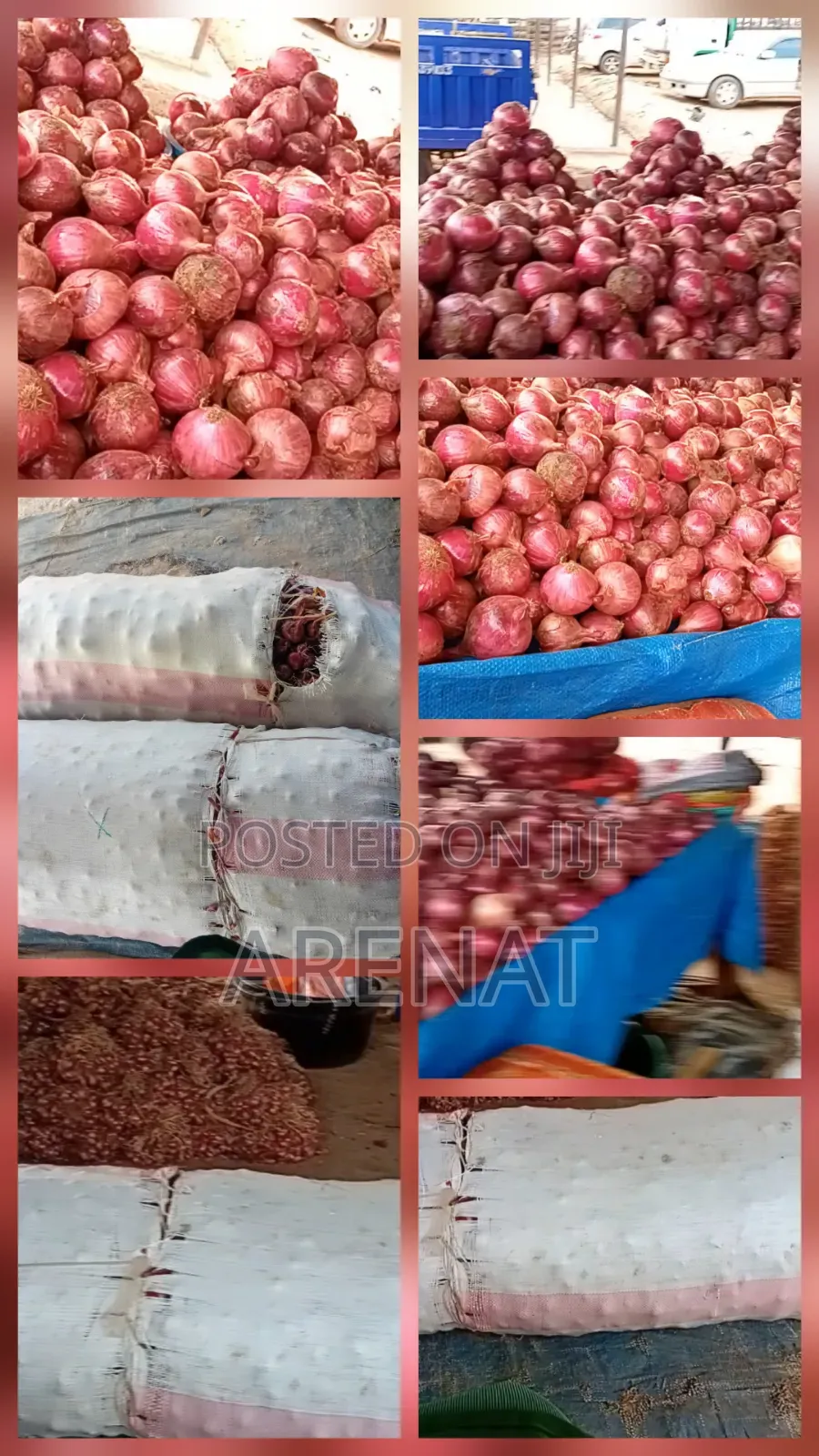 Onions on Sales Big and Small