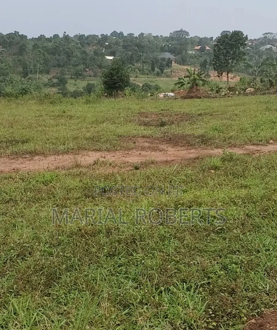 Titled Plots of Land for Sale