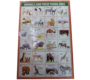 Kids Educational Waterproof Charts - Body Parts, Animals, Vowels, Etc.
