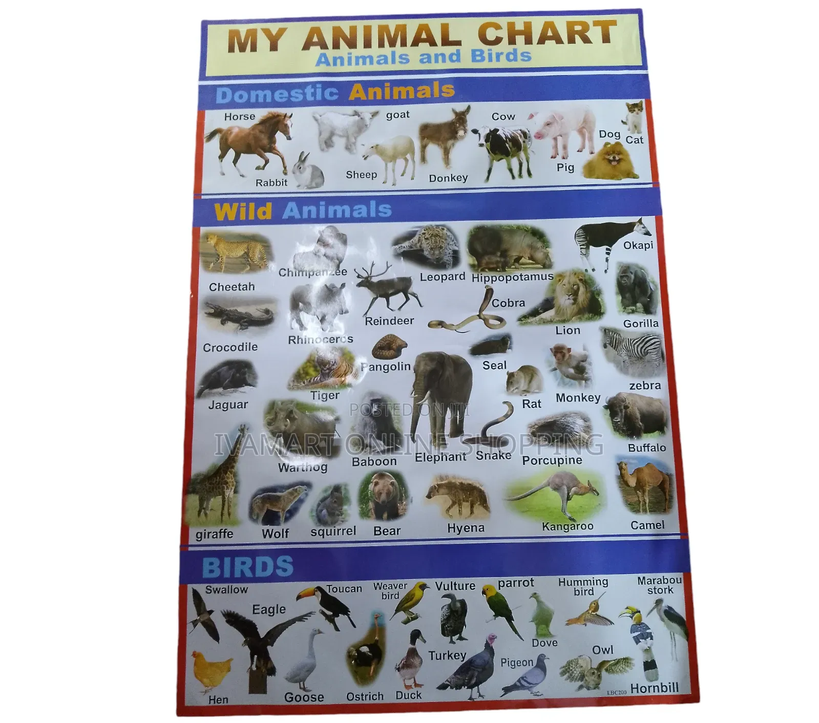 Kids Educational Waterproof Charts - Body Parts, Animals, Vowels, Etc.