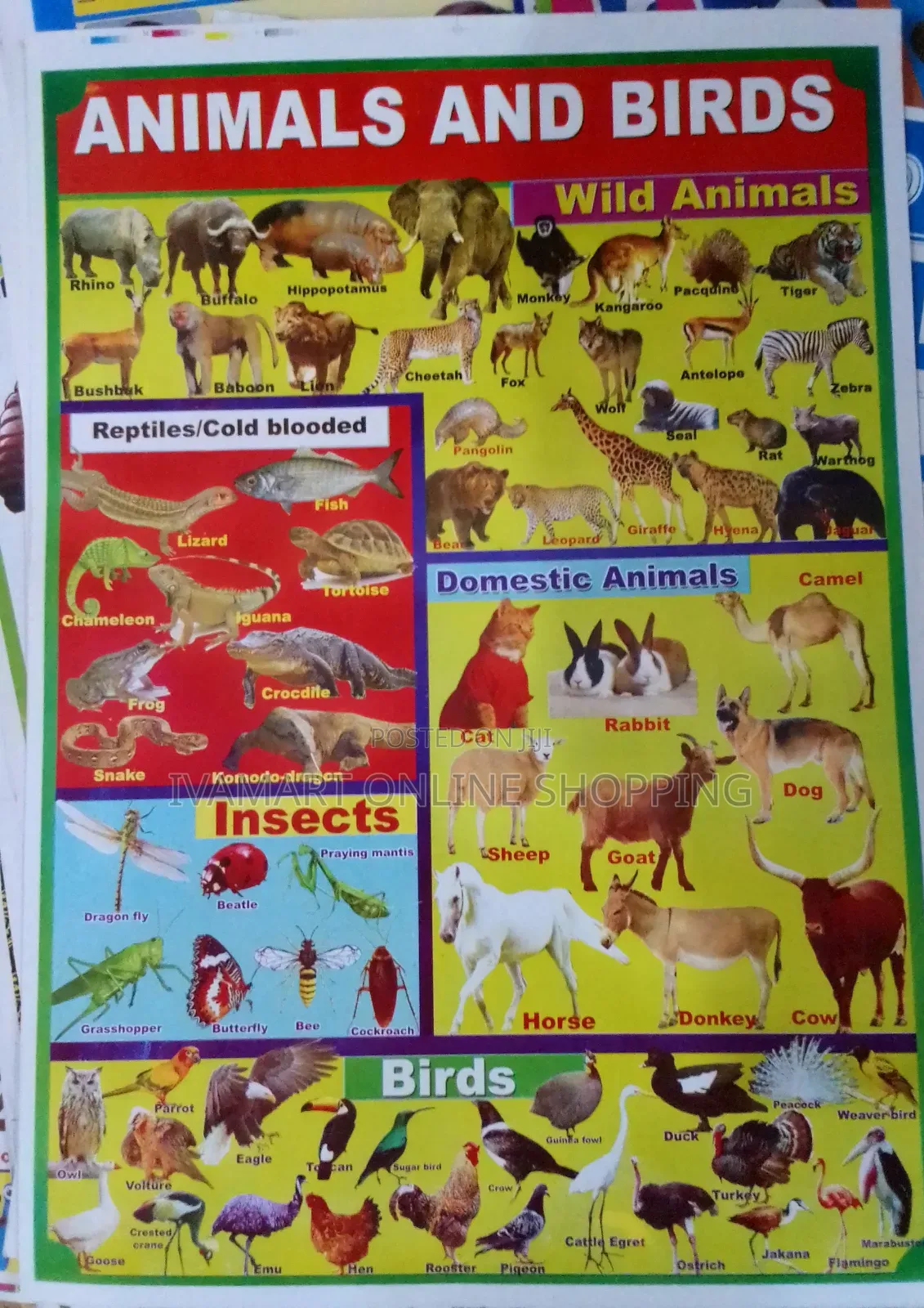 Kids Educational Waterproof Charts - Body Parts, Animals, Vowels, Etc.
