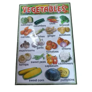 Kids Educational Waterproof Charts - Body Parts, Animals, Vowels, Etc.